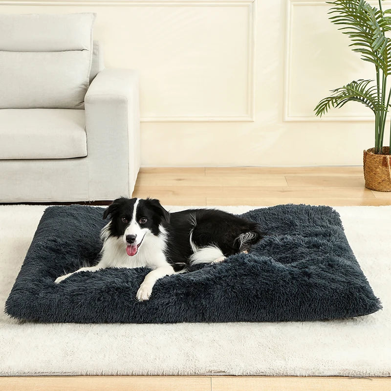Soft Dog Beds House Soft Long Plush Best Pet Dog Bed For Dogs