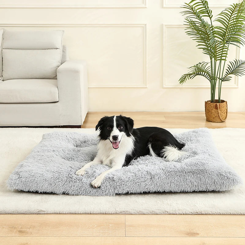 Soft Dog Beds House Soft Long Plush Best Pet Dog Bed For Dogs