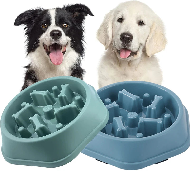 Slow Feeder Dog Bowl Anti-choking Puppy Food Bowl Anti-slip