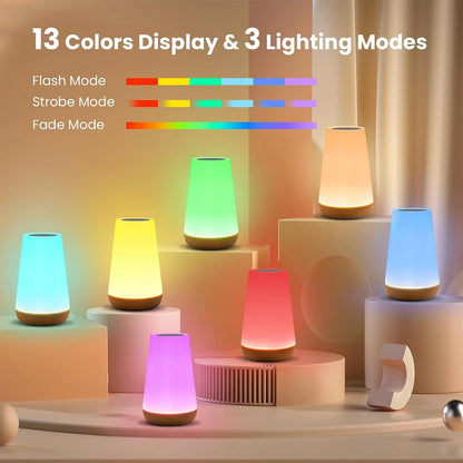 Changing Night Light RGB Remote Control Touch Dimmable Lamp