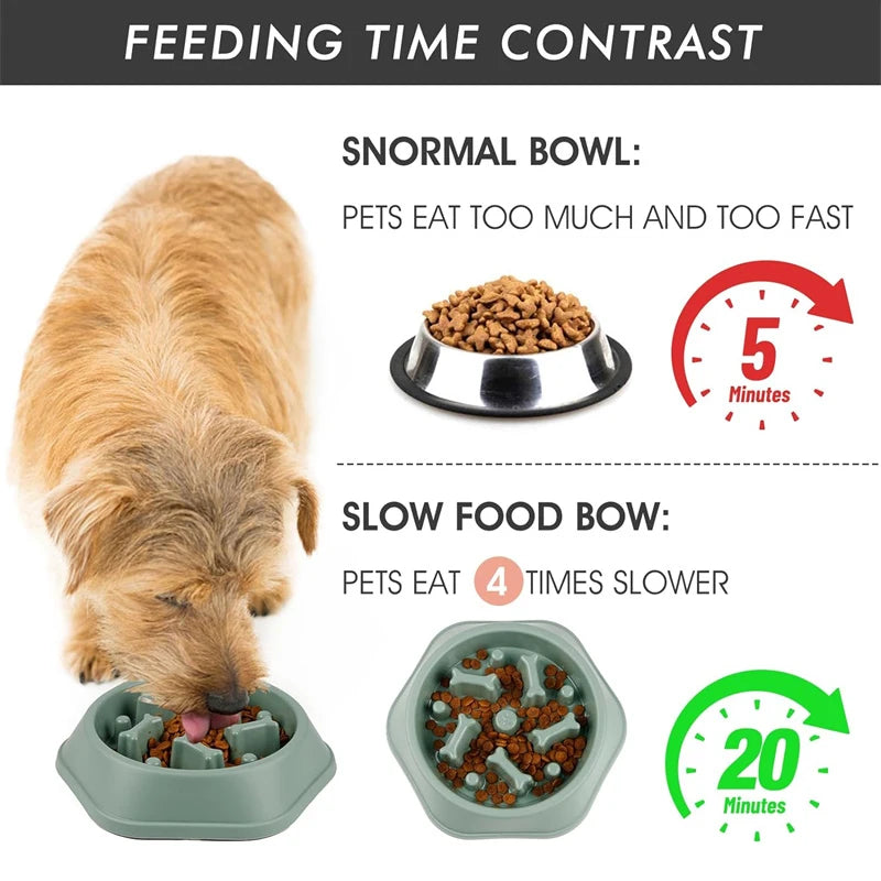 Slow Feeder Dog Bowl Anti-choking Puppy Food Bowl Anti-slip
