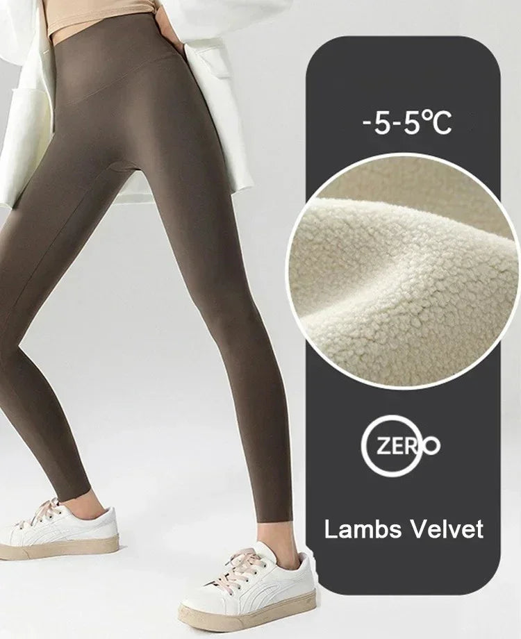 Autumn Winter High Waist Shark Leggings Women's Seamless