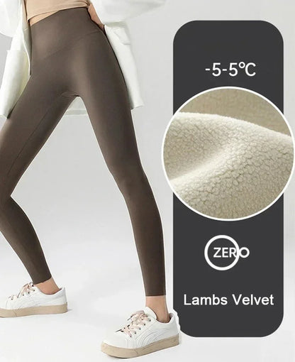 Autumn Winter High Waist Shark Leggings Women's Seamless