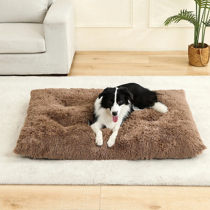 Soft Dog Beds House Soft Long Plush Best Pet Dog Bed For Dogs