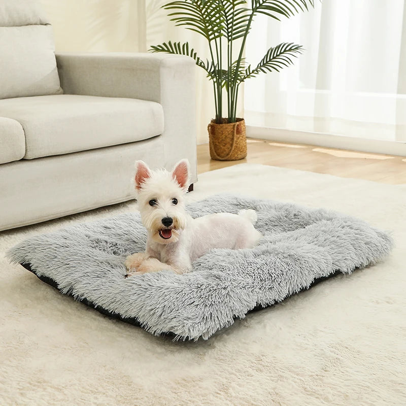 Soft Dog Beds House Soft Long Plush Best Pet Dog Bed For Dogs