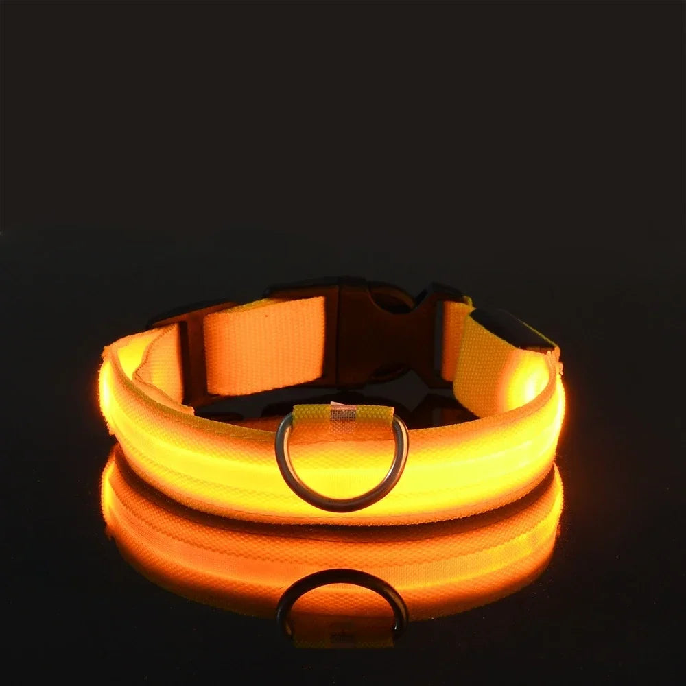 Dog Collar Nylon LED Night Safety Flashing Glow In The Dark