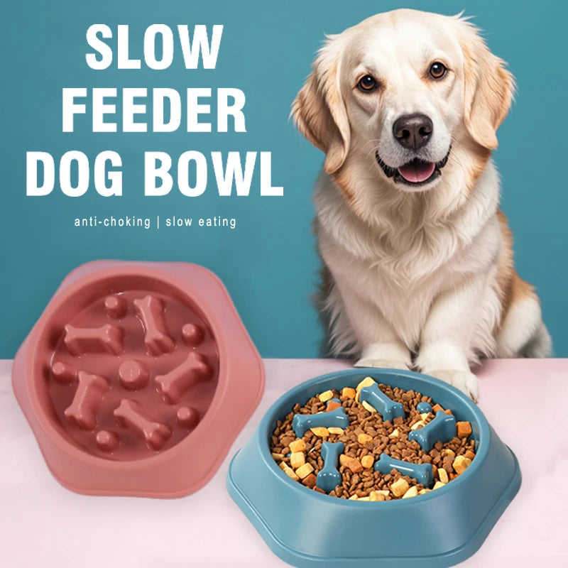 Slow Feeder Dog Bowl Anti-choking Puppy Food Bowl Anti-slip