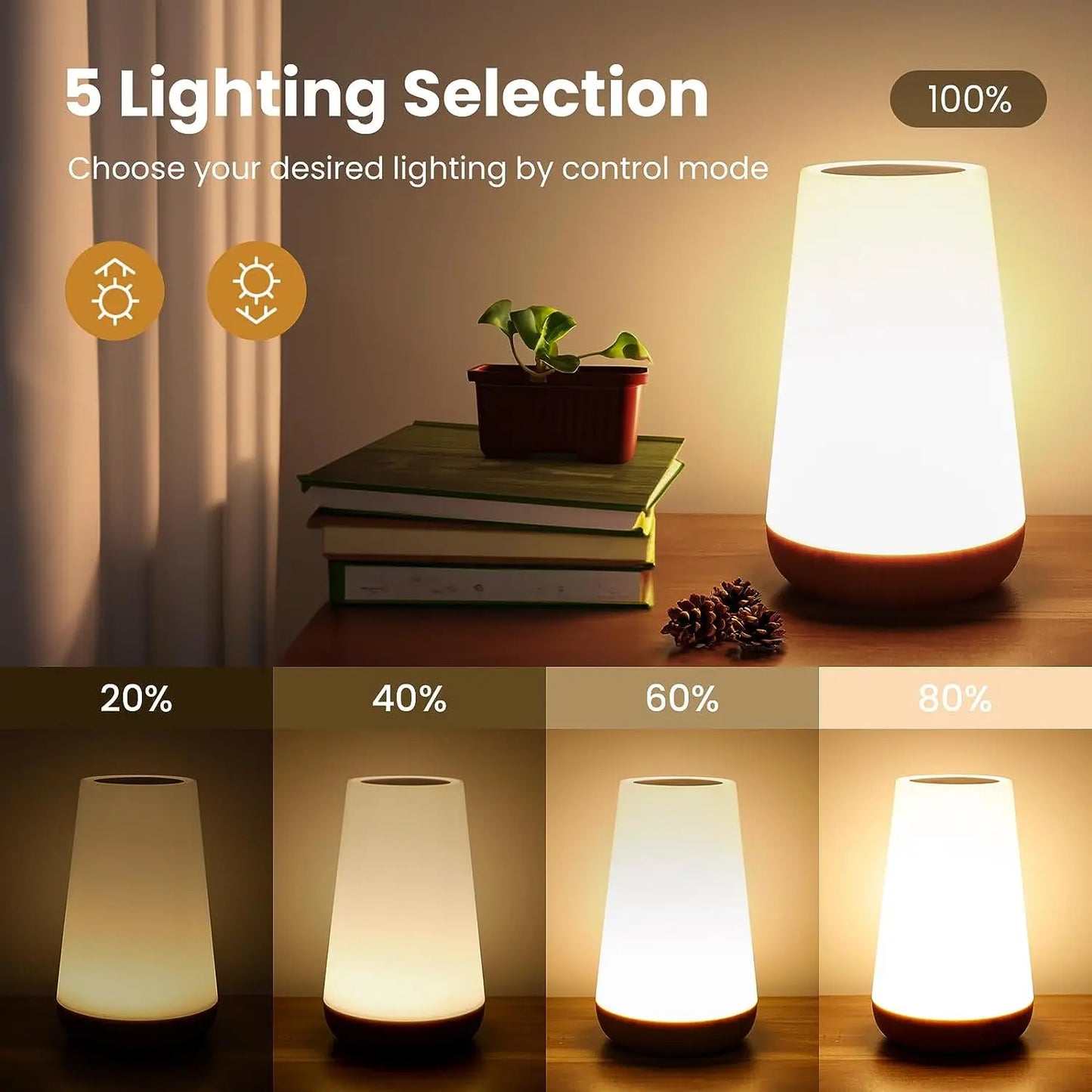 Changing Night Light RGB Remote Control Touch Dimmable Lamp
