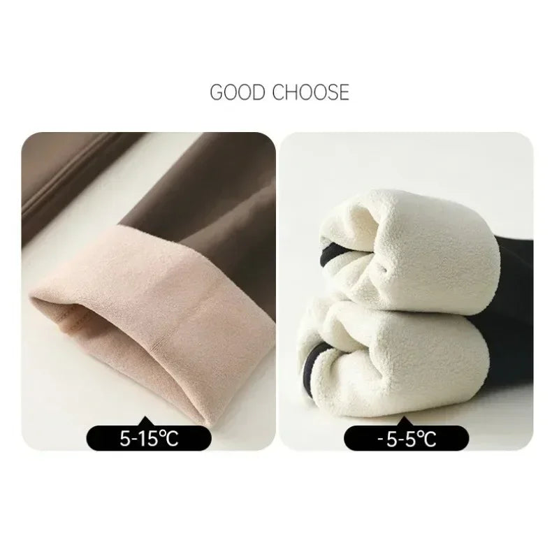 Autumn Winter High Waist Shark Leggings Women's Seamless