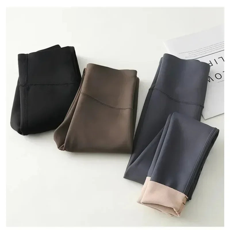 Autumn Winter High Waist Shark Leggings Women's Seamless